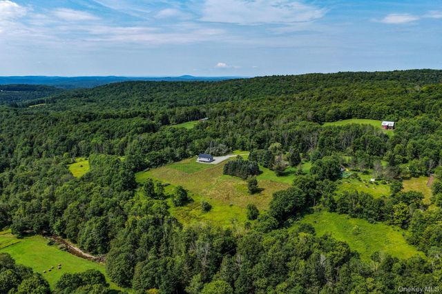 129 Nelson Road, Hankins, NY 12741
