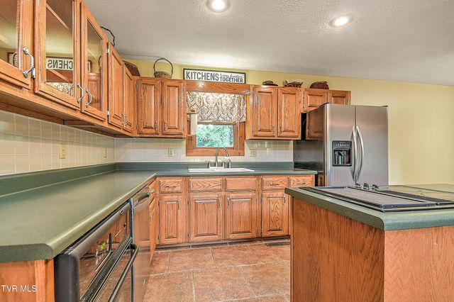 122 Chase Drive, Roan Mountain, TN 37687