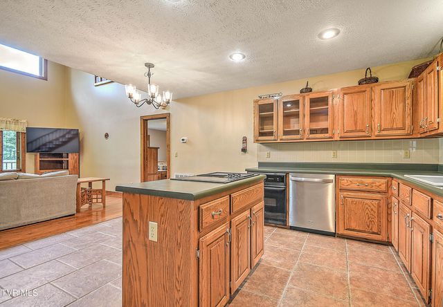 122 Chase Drive, Roan Mountain, TN 37687