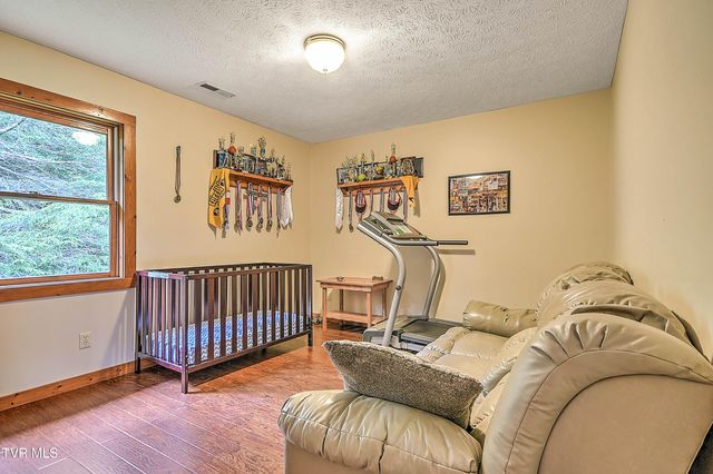 122 Chase Drive, Roan Mountain, TN 37687