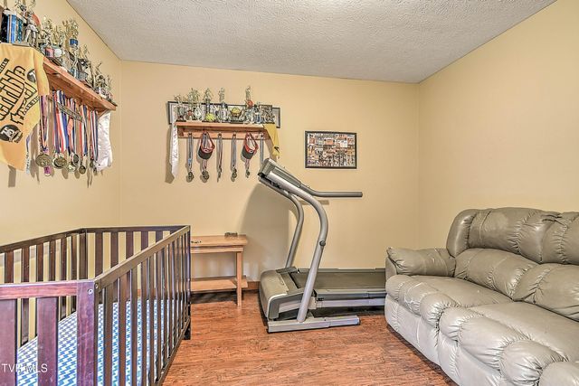 122 Chase Drive, Roan Mountain, TN 37687