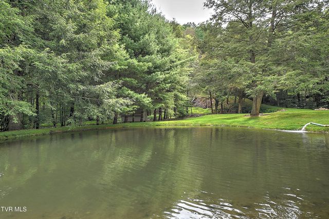 122 Chase Drive, Roan Mountain, TN 37687