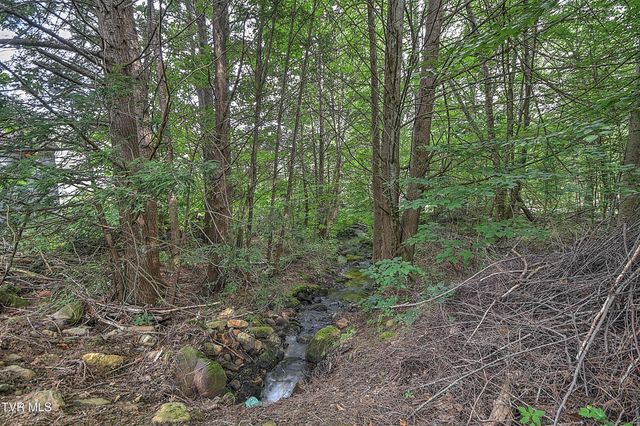 122 Chase Drive, Roan Mountain, TN 37687