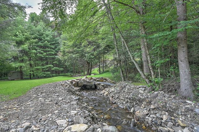 122 Chase Drive, Roan Mountain, TN 37687