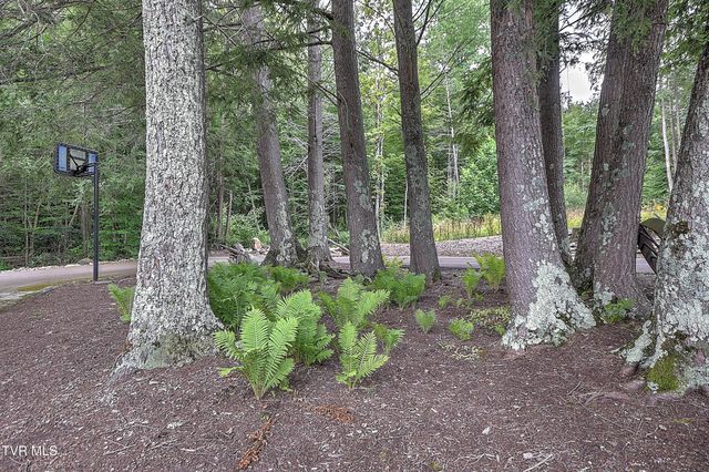 122 Chase Drive, Roan Mountain, TN 37687