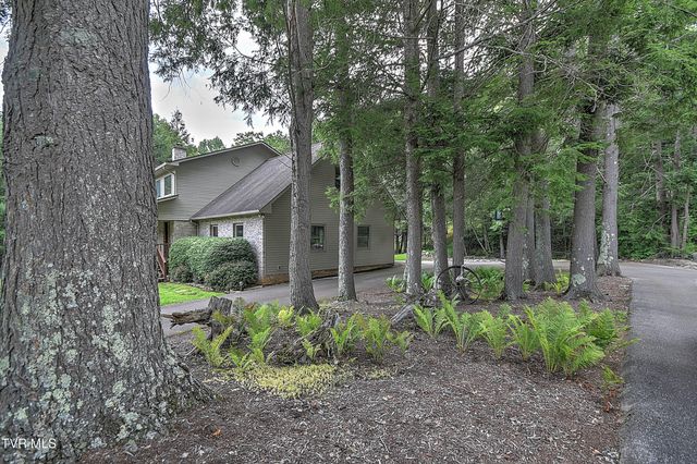 122 Chase Drive, Roan Mountain, TN 37687