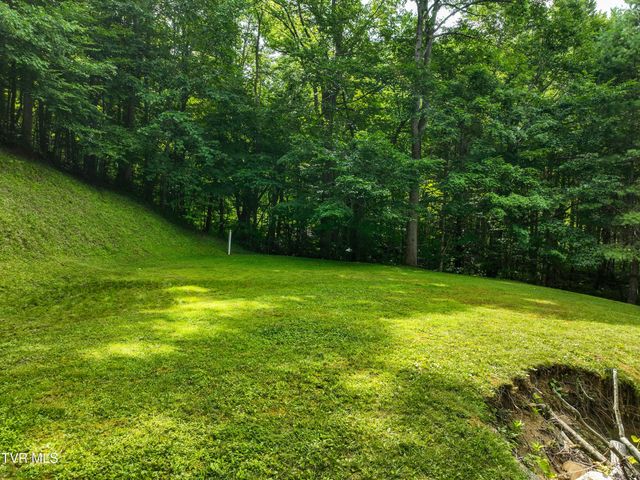 122 Chase Drive, Roan Mountain, TN 37687