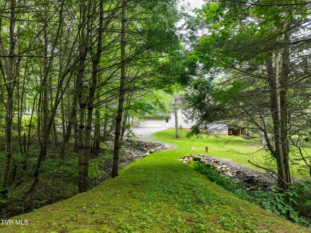 122 Chase Drive, Roan Mountain, TN 37687