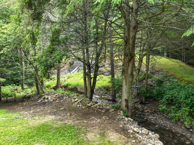 122 Chase Drive, Roan Mountain, TN 37687