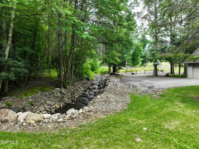 122 Chase Drive, Roan Mountain, TN 37687