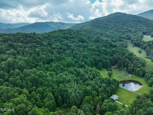 122 Chase Drive, Roan Mountain, TN 37687