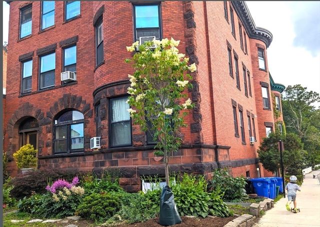 336 Washington St 3, Brookline, MA 02445