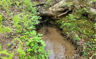 LOT27 Oak Ridge, Ellijay, GA 30536