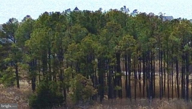 1625 STEAMBOAT WHARF, Fishing Creek, MD 21634