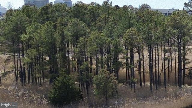 1625 STEAMBOAT WHARF, Fishing Creek, MD 21634