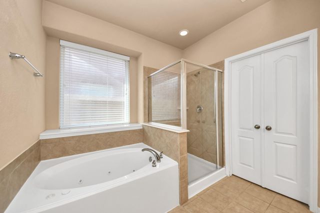 9619 W Amber Bluff Lane, Katy, TX 77494