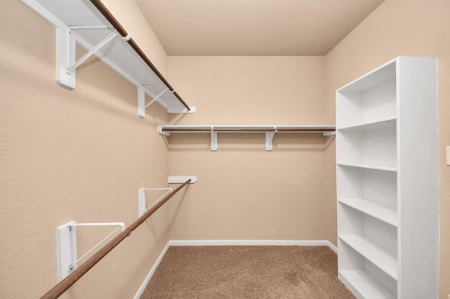 9619 W Amber Bluff Lane, Katy, TX 77494