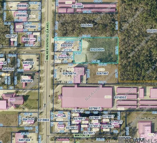 28700 S Walker Rd, Walker, LA 70785