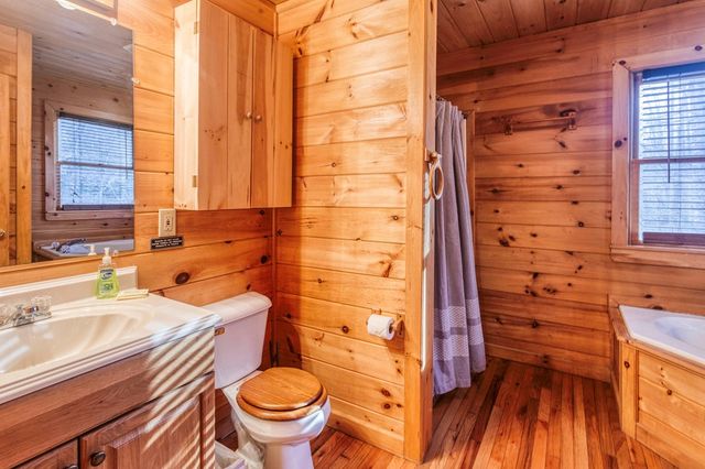 84 Luke Lane, Mineral Bluff, GA 30559