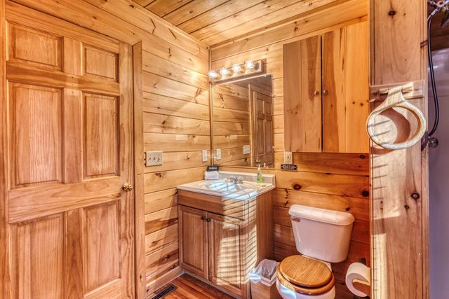 84 Luke Lane, Mineral Bluff, GA 30559