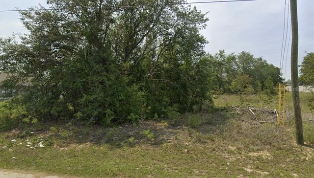 0 MALAUKA RADIAL CIR, Ocklawaha, FL 32179