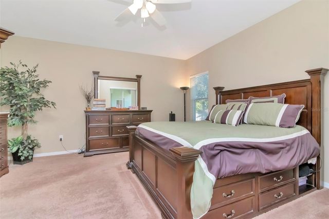 13247 GRAHAM YARDEN DRIVE, Riverview, FL 33579