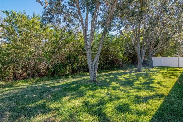 13247 GRAHAM YARDEN DRIVE, Riverview, FL 33579