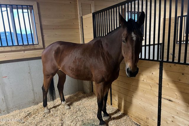 7664 Whileaway Road East, Park City, UT 84098