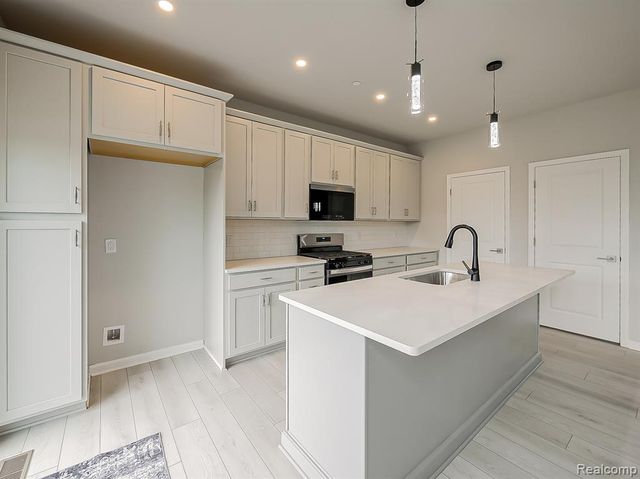 49533 Coldwater Ridge Drive, Northville, MI 48168