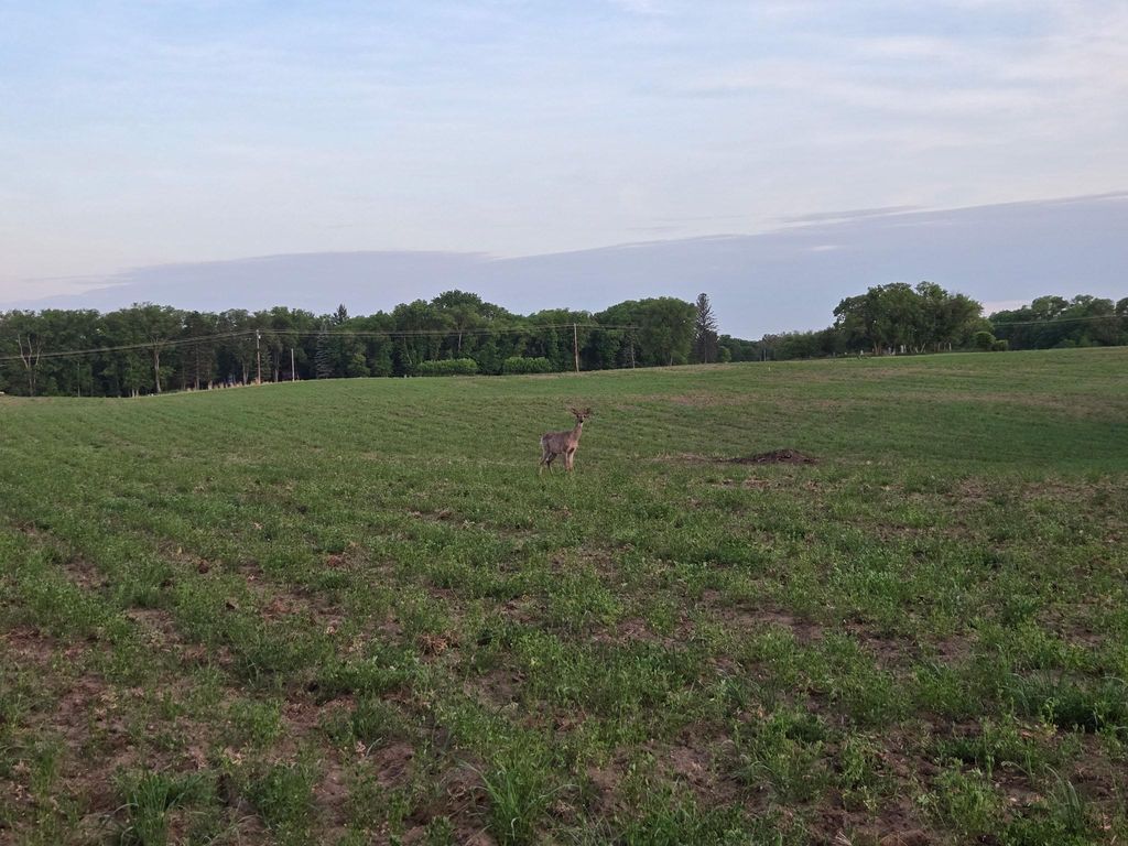 TBD Parcel B County Rd 5 NW, Princeton, MN 55371 — photo 2