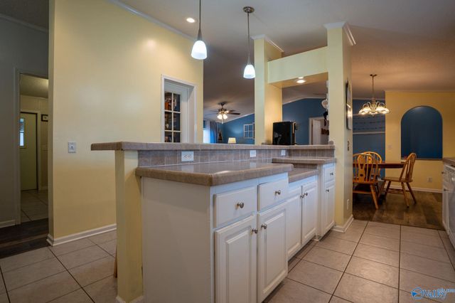 202 Moses Drive, Henagar, AL 35978