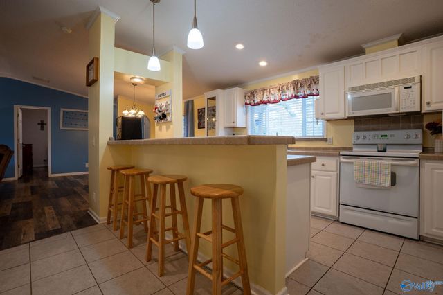 202 Moses Drive, Henagar, AL 35978