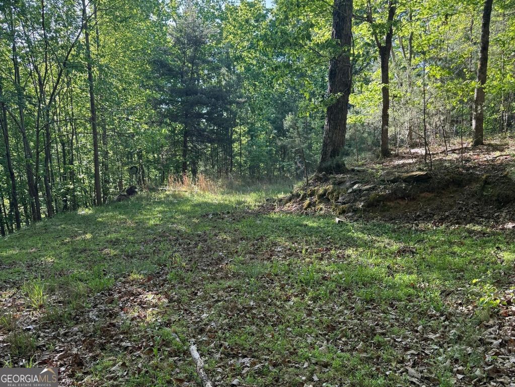 0 Baldwin Heights Drive, Baldwin, GA 30511 — photo 3