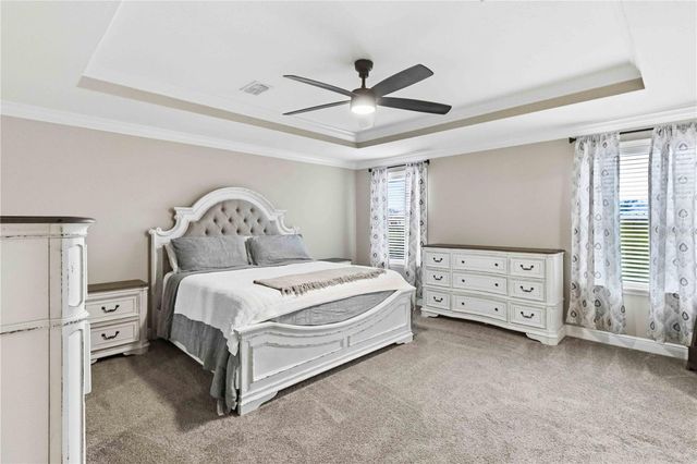 10007 DOLPHIN GULL CIRCLE, Thonotosassa, FL 33592