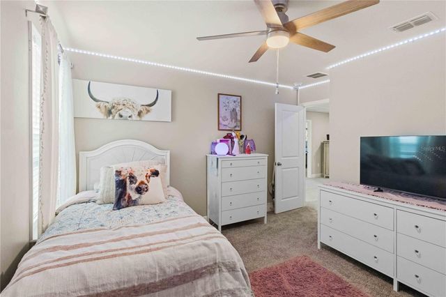 10007 DOLPHIN GULL CIRCLE, Thonotosassa, FL 33592