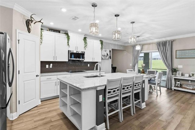 10007 DOLPHIN GULL CIRCLE, Thonotosassa, FL 33592
