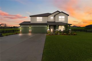10007 DOLPHIN GULL CIRCLE, Thonotosassa, FL 33592