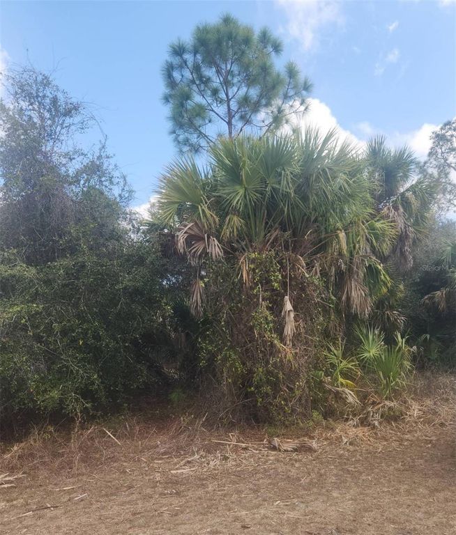 Image 5 of property listing at S SAN MATEO DRIVE, North Port, FL 34286