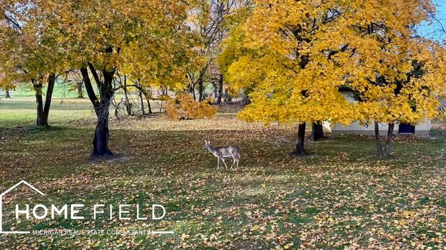 608 Ridgeview Drive, Corunna, MI 48817