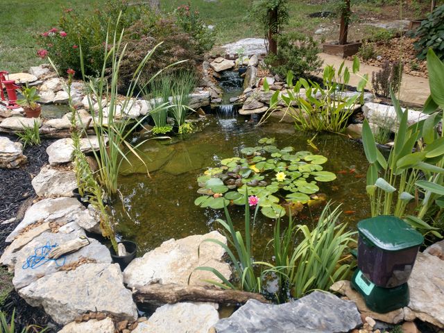 308 Cedar Hollow Ct, Lebanon, TN 37087