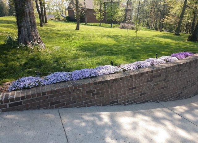 308 Cedar Hollow Ct, Lebanon, TN 37087