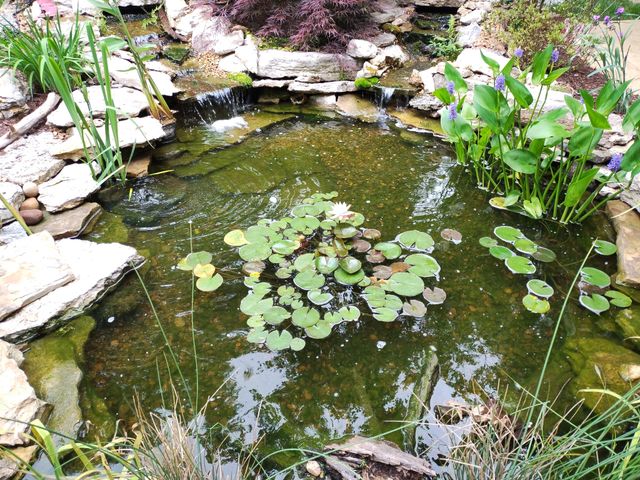 308 Cedar Hollow Ct, Lebanon, TN 37087