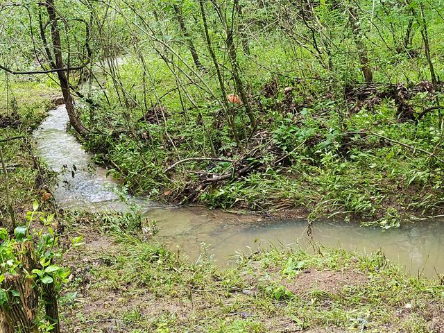 308 Cedar Hollow Ct, Lebanon, TN 37087