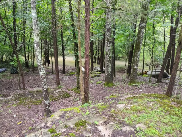 308 Cedar Hollow Ct, Lebanon, TN 37087