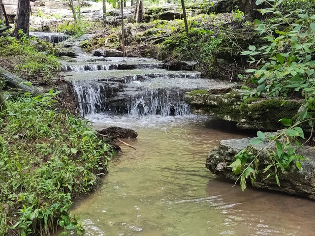 308 Cedar Hollow Ct, Lebanon, TN 37087