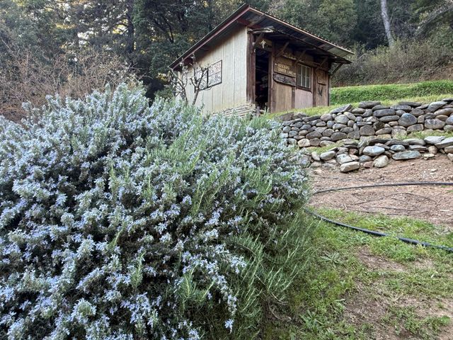 787 Owl Mine Road, Orleans, CA 95556