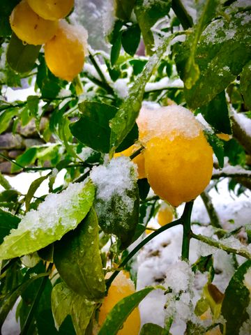 787 Owl Mine Road, Orleans, CA 95556