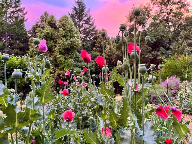 787 Owl Mine Road, Orleans, CA 95556