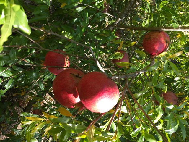 787 Owl Mine Road, Orleans, CA 95556