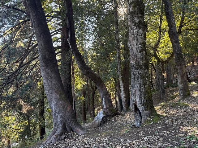 787 Owl Mine Road, Orleans, CA 95556